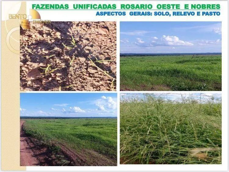 Fazenda à venda de 14.000 ha em Rosário Oeste, MT, Brasil