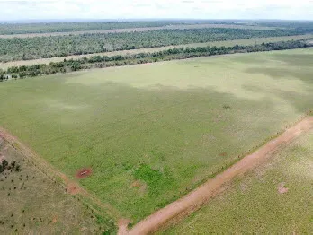 Fazenda à venda de 1.500 ha em Paranatinga, MT, Brasil