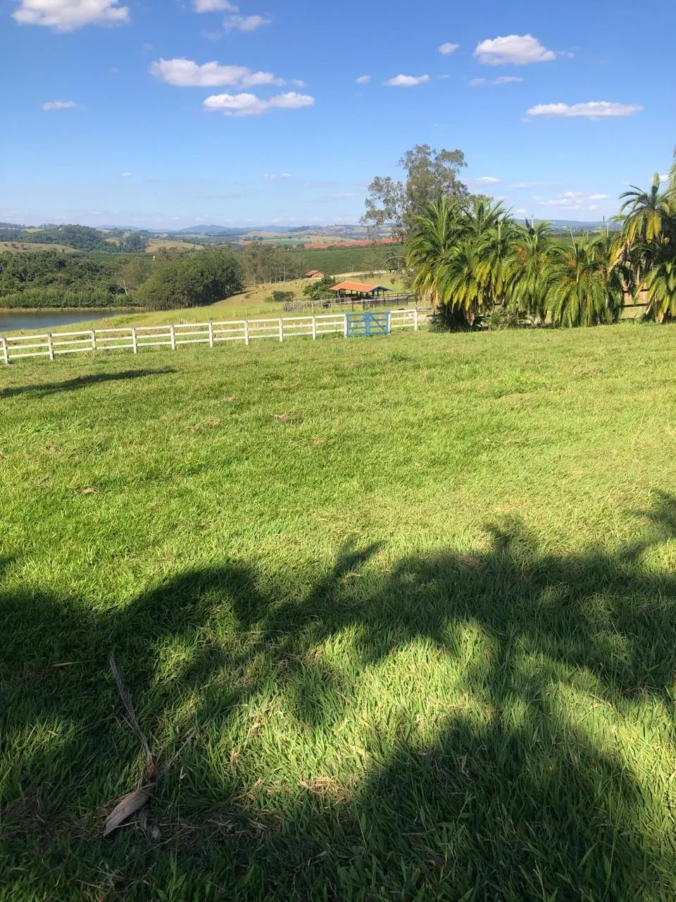 Fazenda à venda de 128 ha em São João da Boa Vista, SP, Brasil