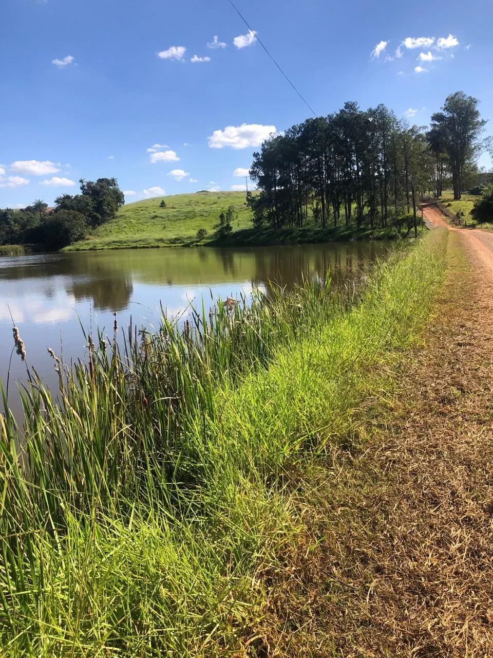 Fazenda à venda de 128 ha em São João da Boa Vista, SP, Brasil