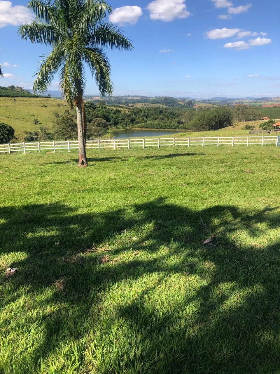 Fazenda à venda de 128 ha em São João da Boa Vista, SP, Brasil