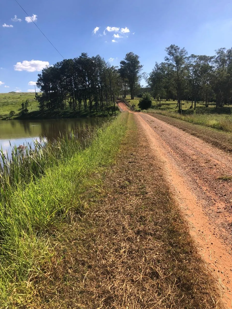 Fazenda à venda de 128 ha em São João da Boa Vista, SP, Brasil