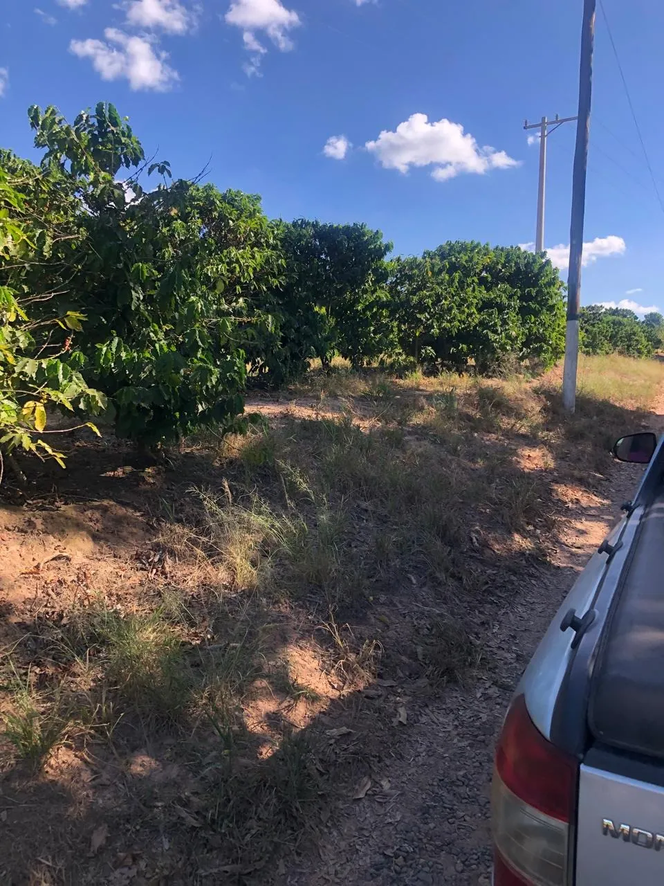Fazenda à venda de 128 ha em São João da Boa Vista, SP, Brasil
