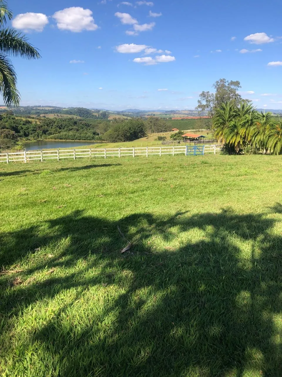Fazenda à venda de 128 ha em São João da Boa Vista, SP, Brasil