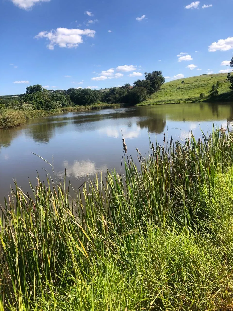 Fazenda à venda de 128 ha em São João da Boa Vista, SP, Brasil