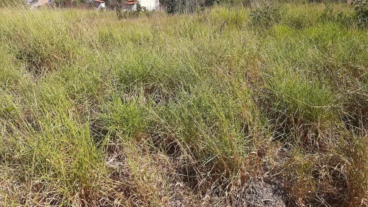 Country home for sale of 1,500 m² in Botucatu, SP, Brazil