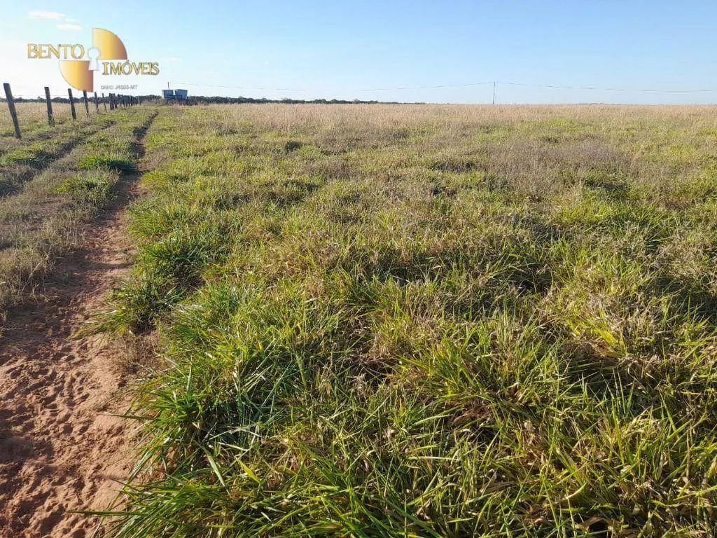 Fazenda à venda de 556 ha em Nova Mutum, MT, Brasil