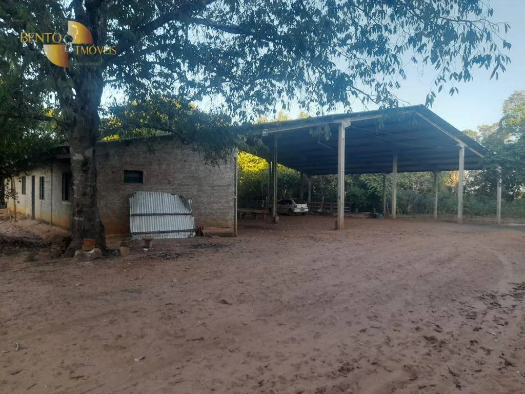 Farm for sale of 1,375 acres in Nova Mutum, MT, Brazil