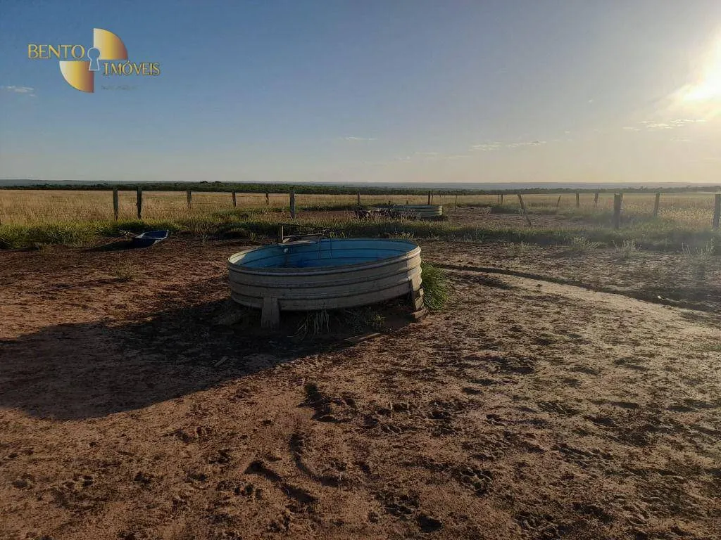 Farm for sale of 1,375 acres in Nova Mutum, MT, Brazil