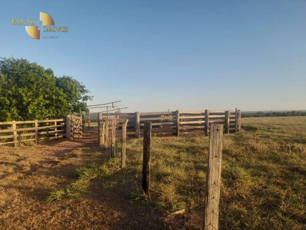 Farm for sale of 1,375 acres in Nova Mutum, MT, Brazil