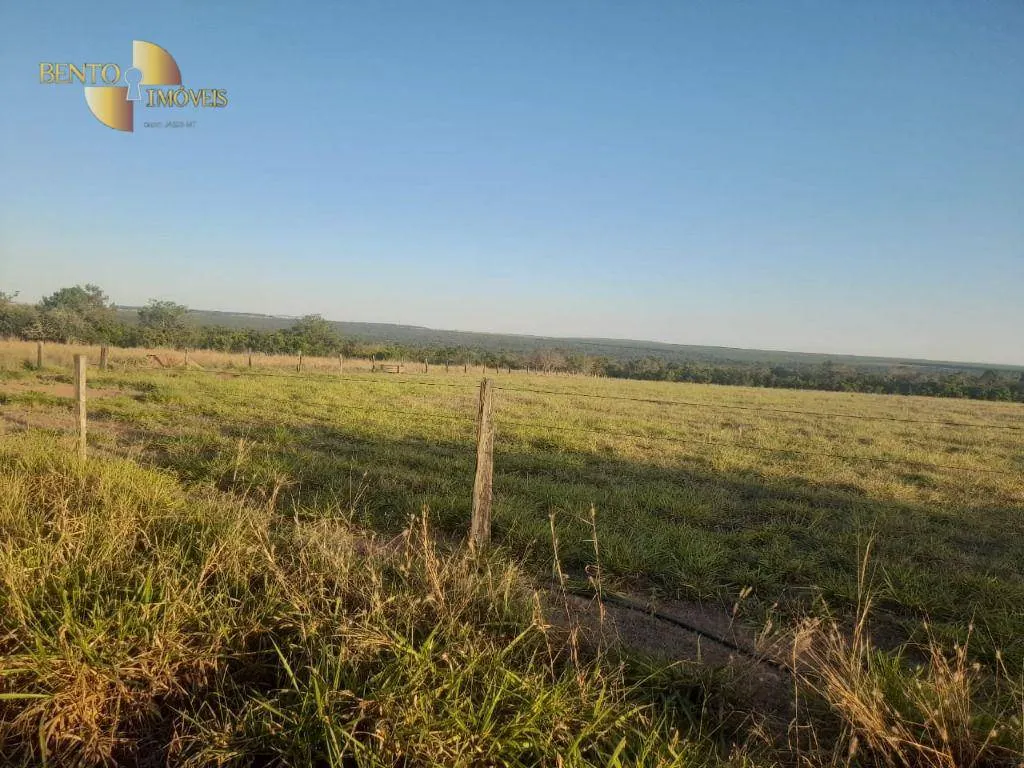 Farm for sale of 1,375 acres in Nova Mutum, MT, Brazil