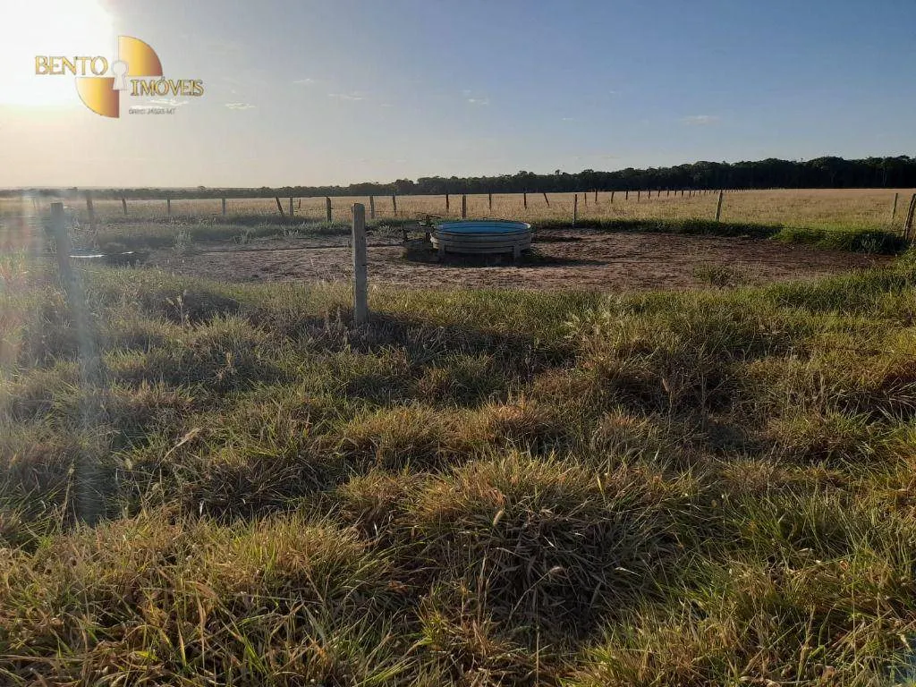 Farm for sale of 1,375 acres in Nova Mutum, MT, Brazil
