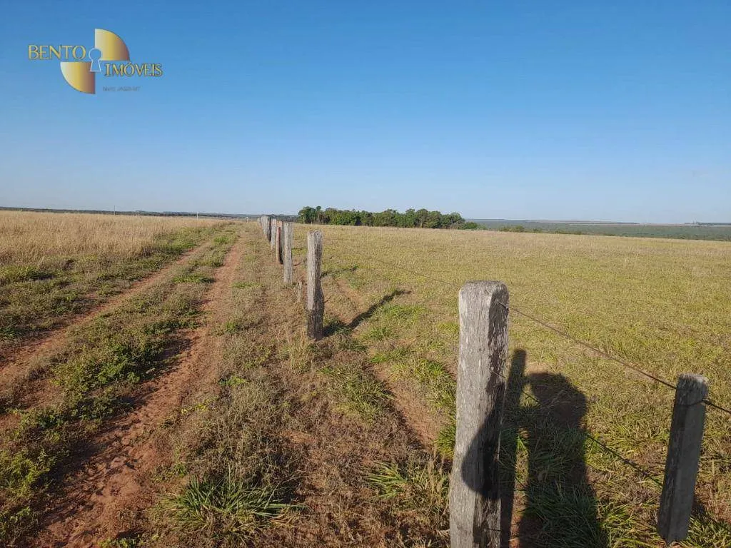 Farm for sale of 1,375 acres in Nova Mutum, MT, Brazil