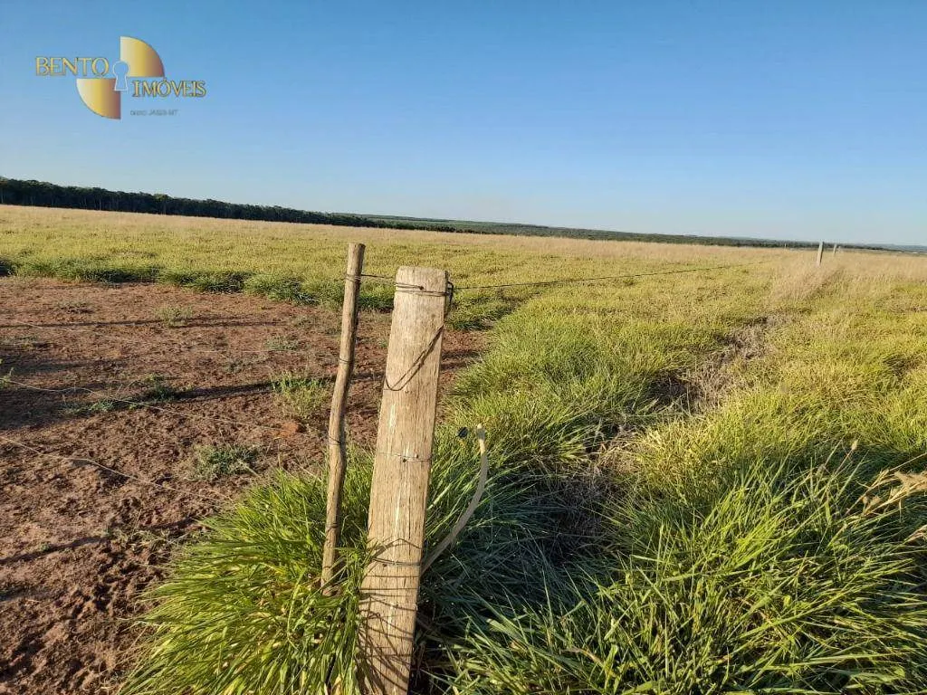 Farm for sale of 1,375 acres in Nova Mutum, MT, Brazil