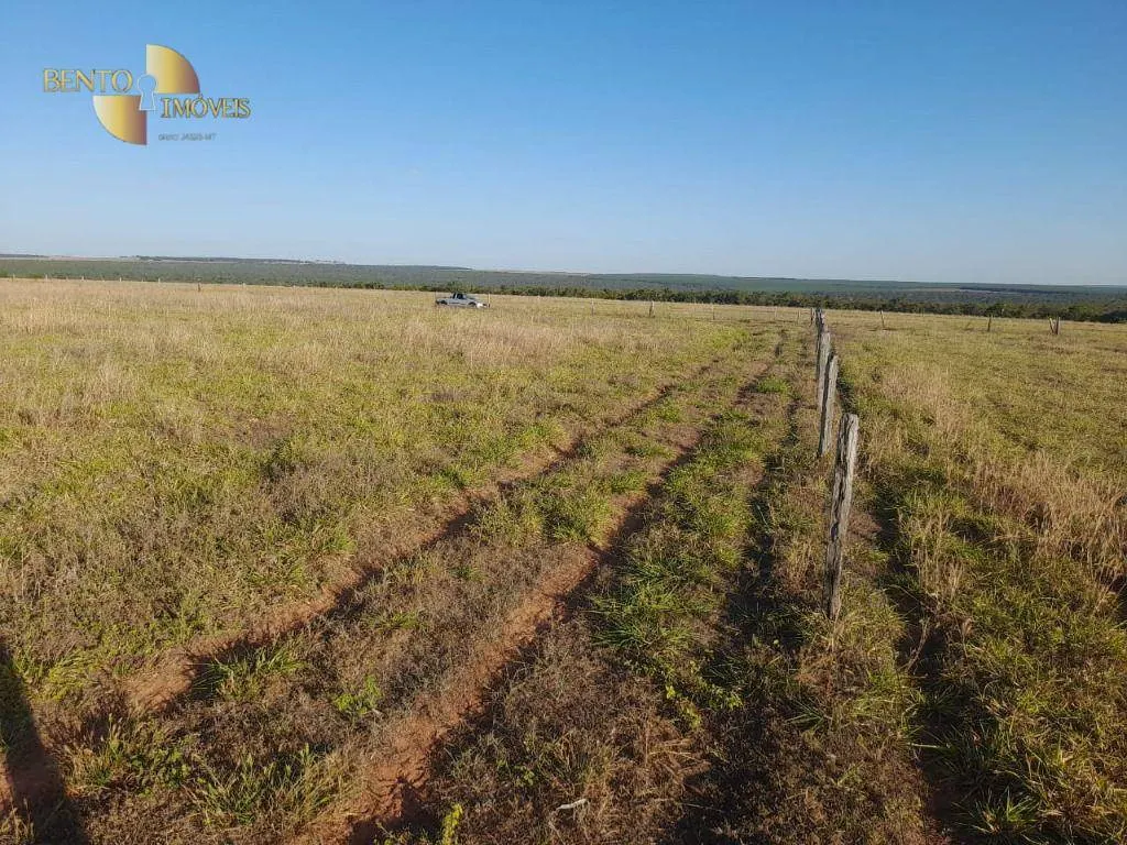 Farm for sale of 1,375 acres in Nova Mutum, MT, Brazil