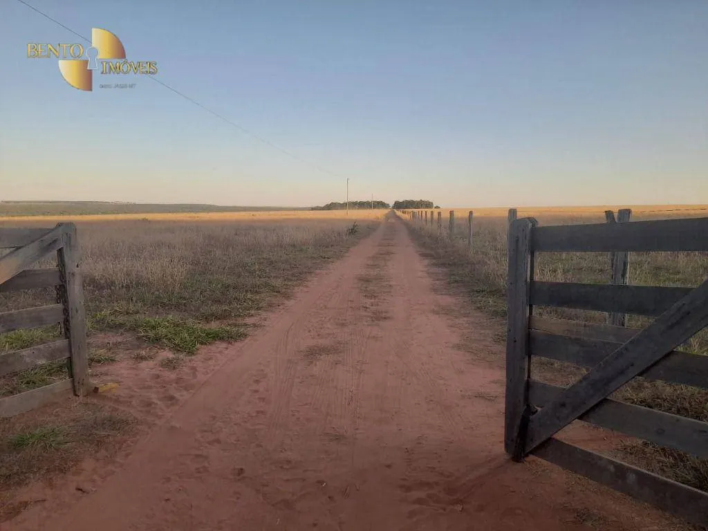 Farm for sale of 1,375 acres in Nova Mutum, MT, Brazil