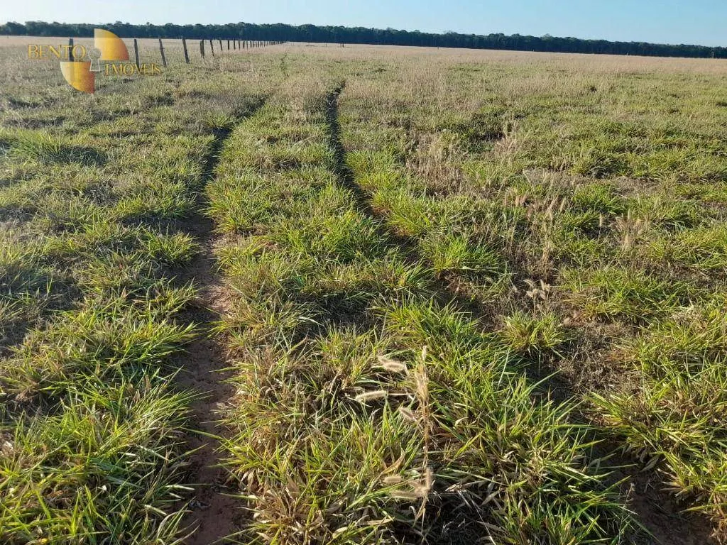 Farm for sale of 1,375 acres in Nova Mutum, MT, Brazil