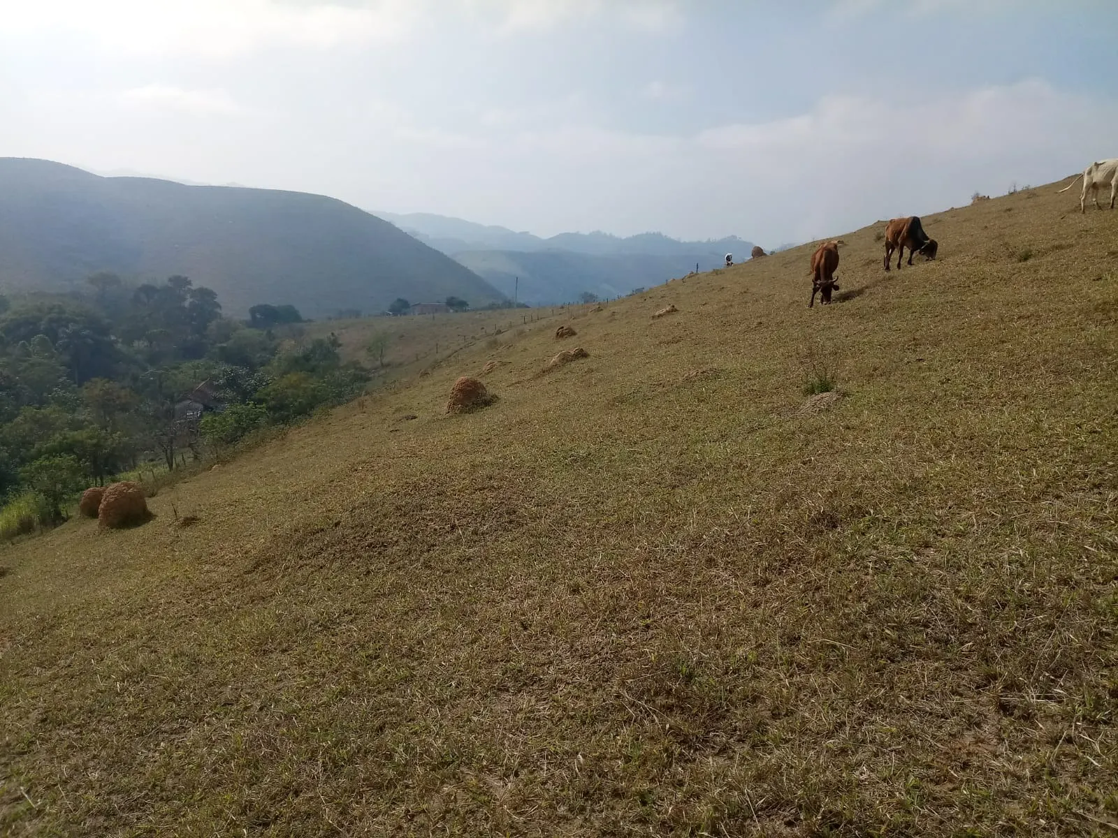 Sítio à venda de 23 ha em São José dos Campos, SP, Brasil