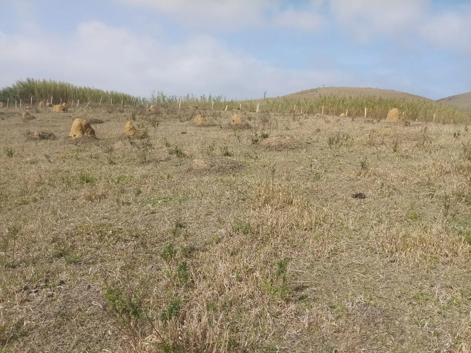 Sítio à venda de 23 ha em São José dos Campos, SP, Brasil