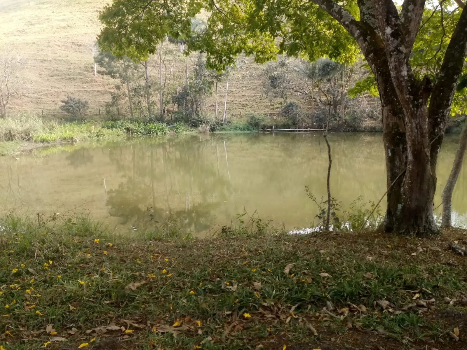 Sítio à venda de 23 ha em São José dos Campos, SP, Brasil