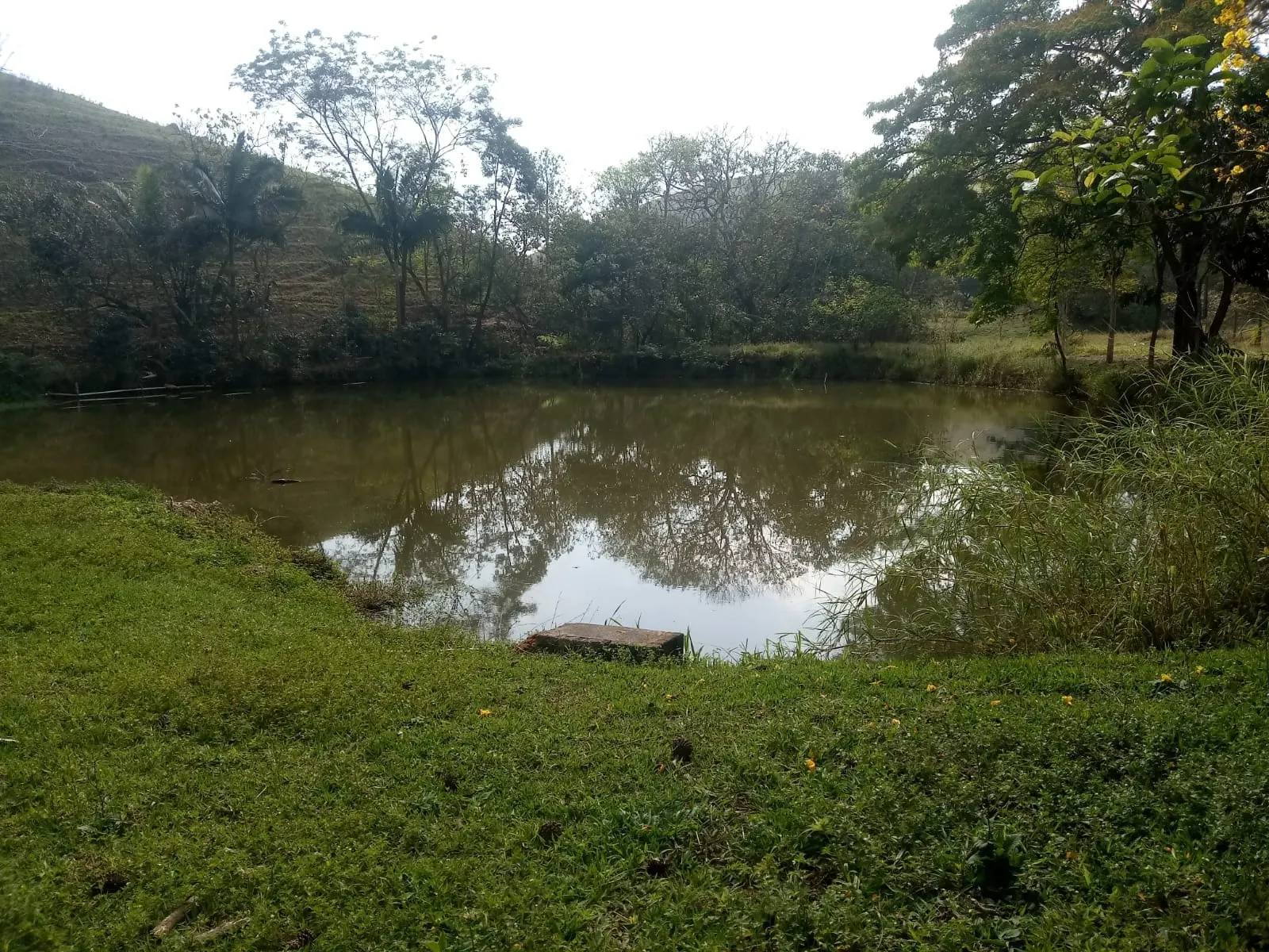 Sítio à venda de 23 ha em São José dos Campos, SP, Brasil