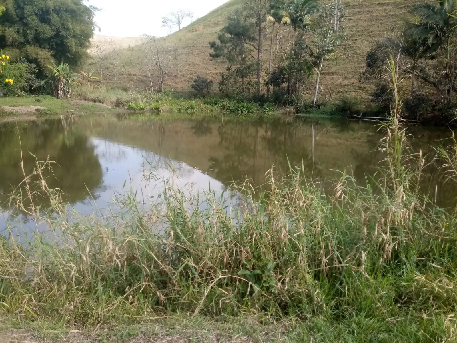 Sítio à venda de 23 ha em São José dos Campos, SP, Brasil