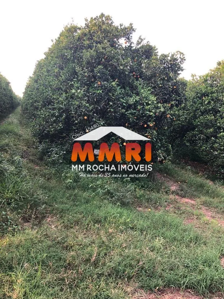 Fazenda à venda de 953 ha em Itaquaquecetuba, SP, Brasil