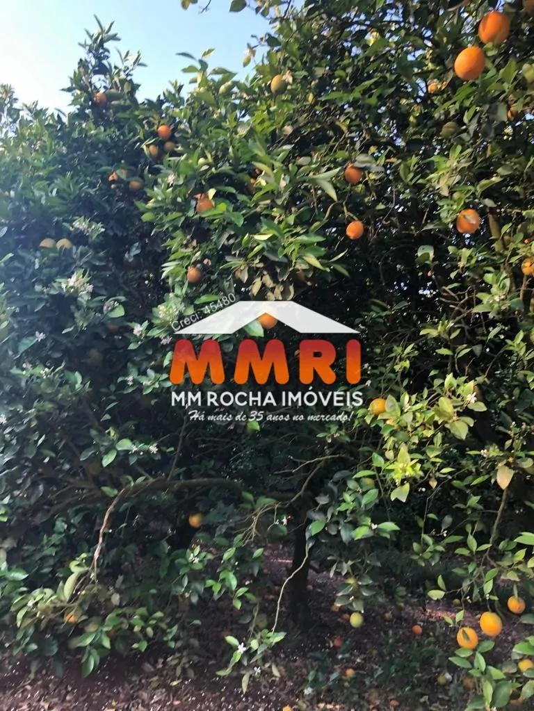 Fazenda à venda de 953 ha em Itaquaquecetuba, SP, Brasil