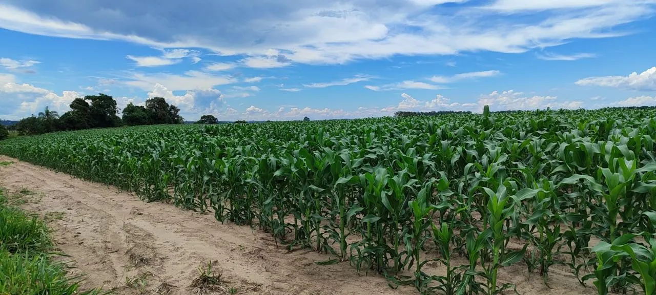 Fazenda à venda de 140 ha em Sorocaba, SP, Brasil