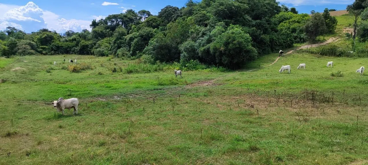 Fazenda à venda de 140 ha em Sorocaba, SP, Brasil