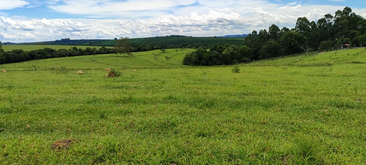 Fazenda à venda de 140 ha em Sorocaba, SP, Brasil