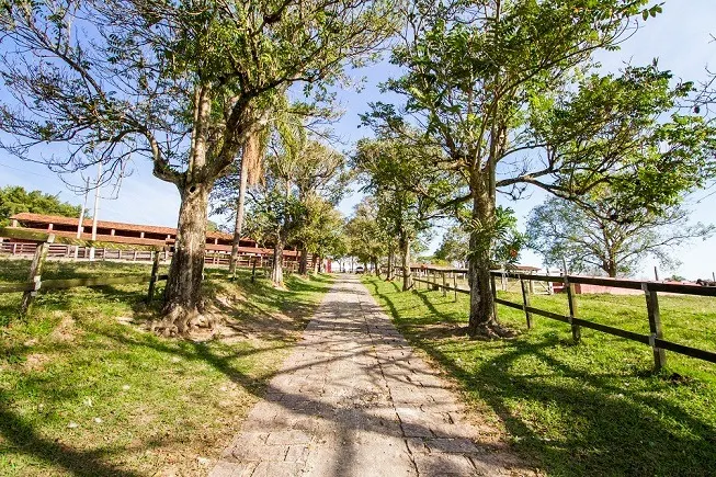 Fazenda à venda de 140 ha em Sorocaba, SP, Brasil