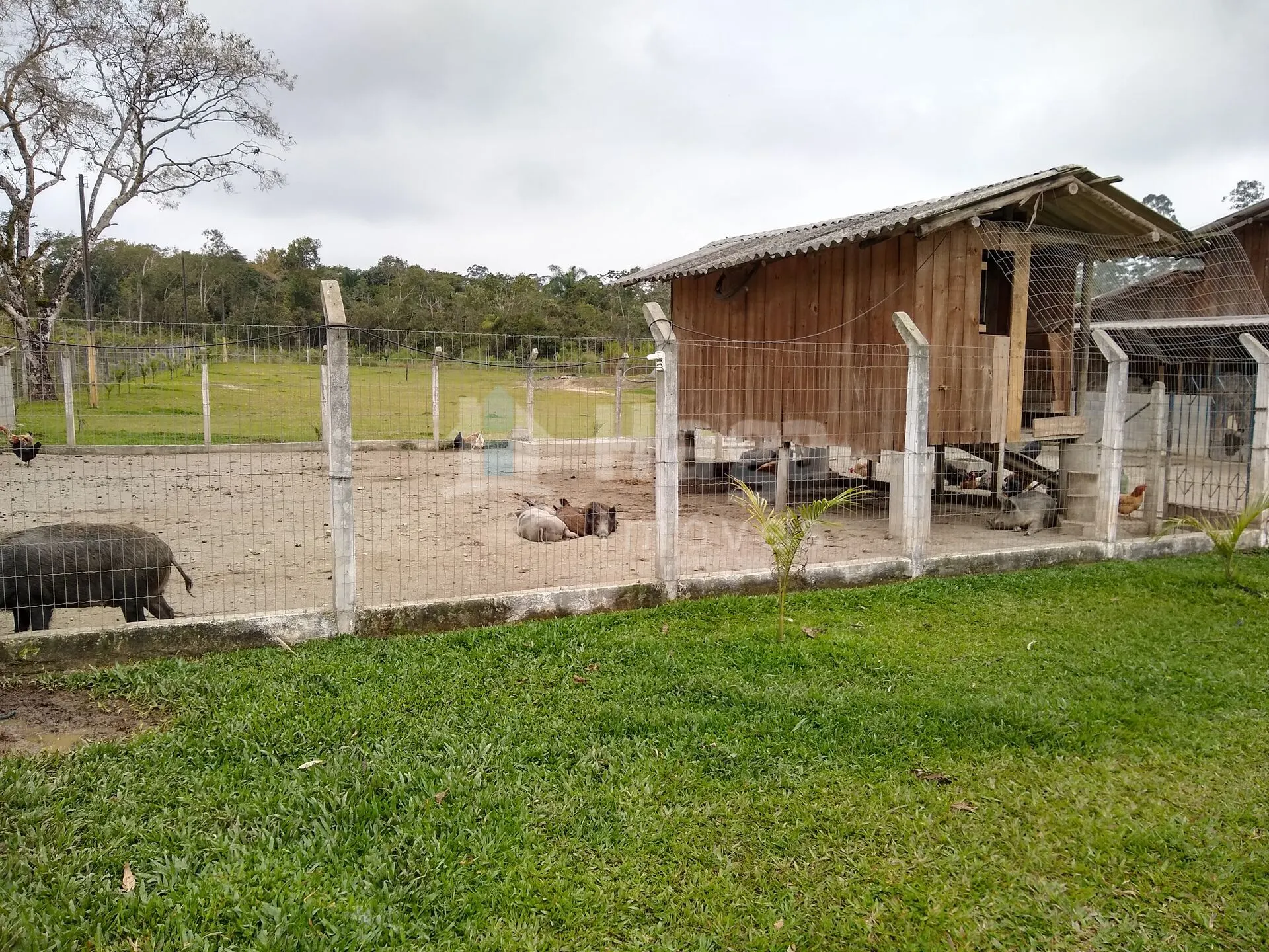 Chácara à venda de 1 ha em Balneário Piçarras, SC, Brasil