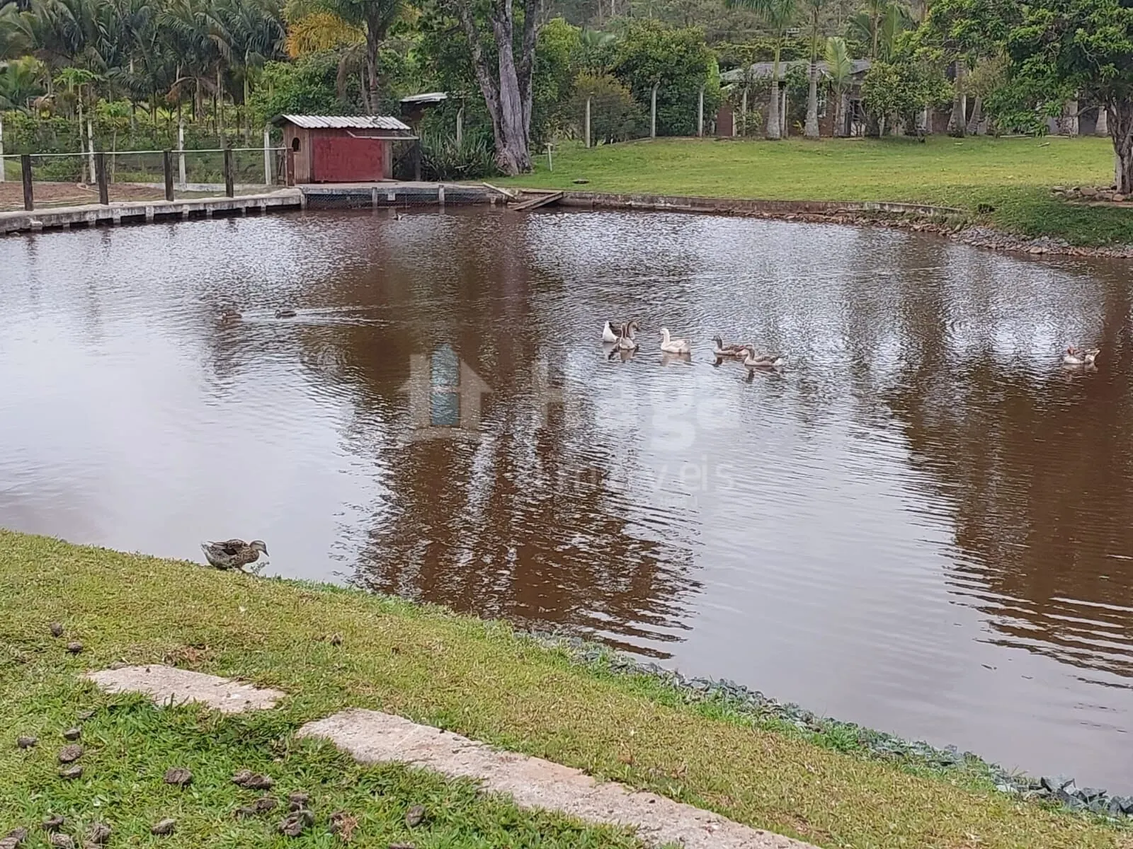 Chácara à venda de 1 ha em Balneário Piçarras, SC, Brasil