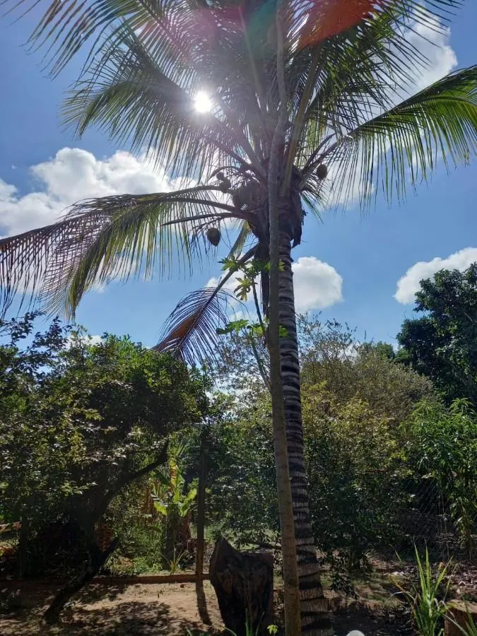 Chácara à venda de 600 m² em São Paulo, SP, Brasil