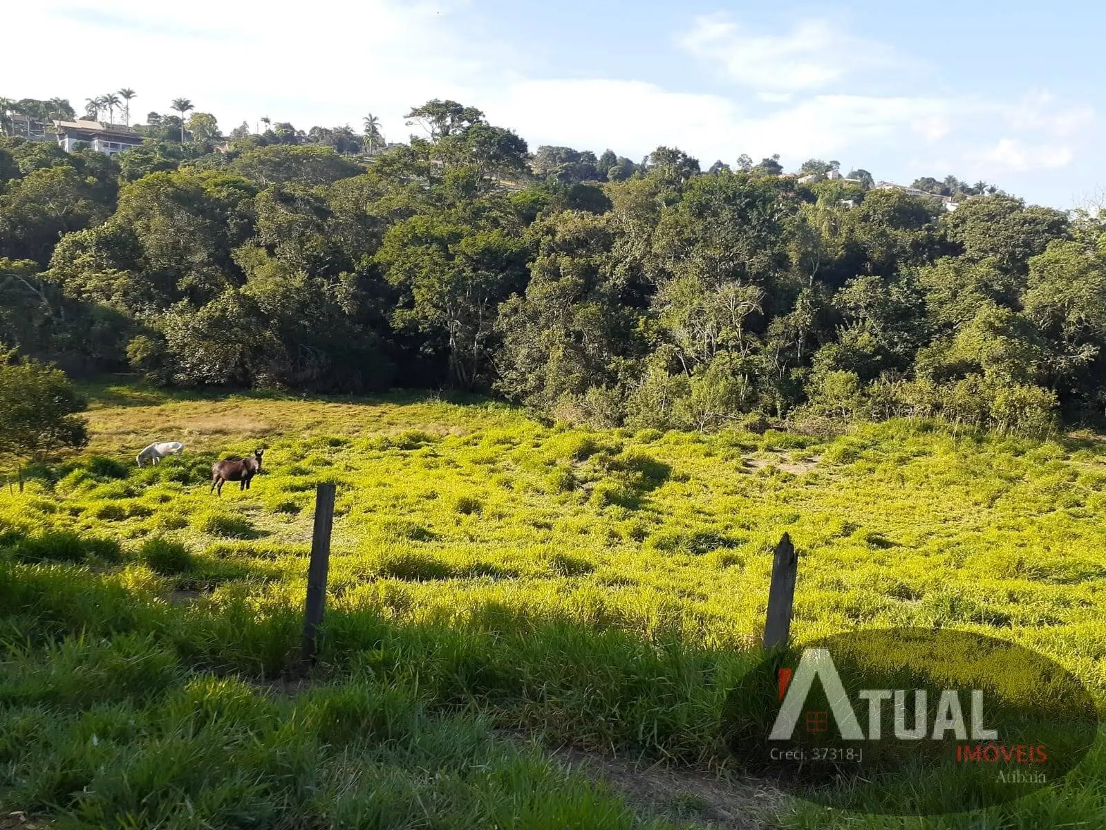 Terreno à venda de 1 ha em Piracaia, SP, Brasil