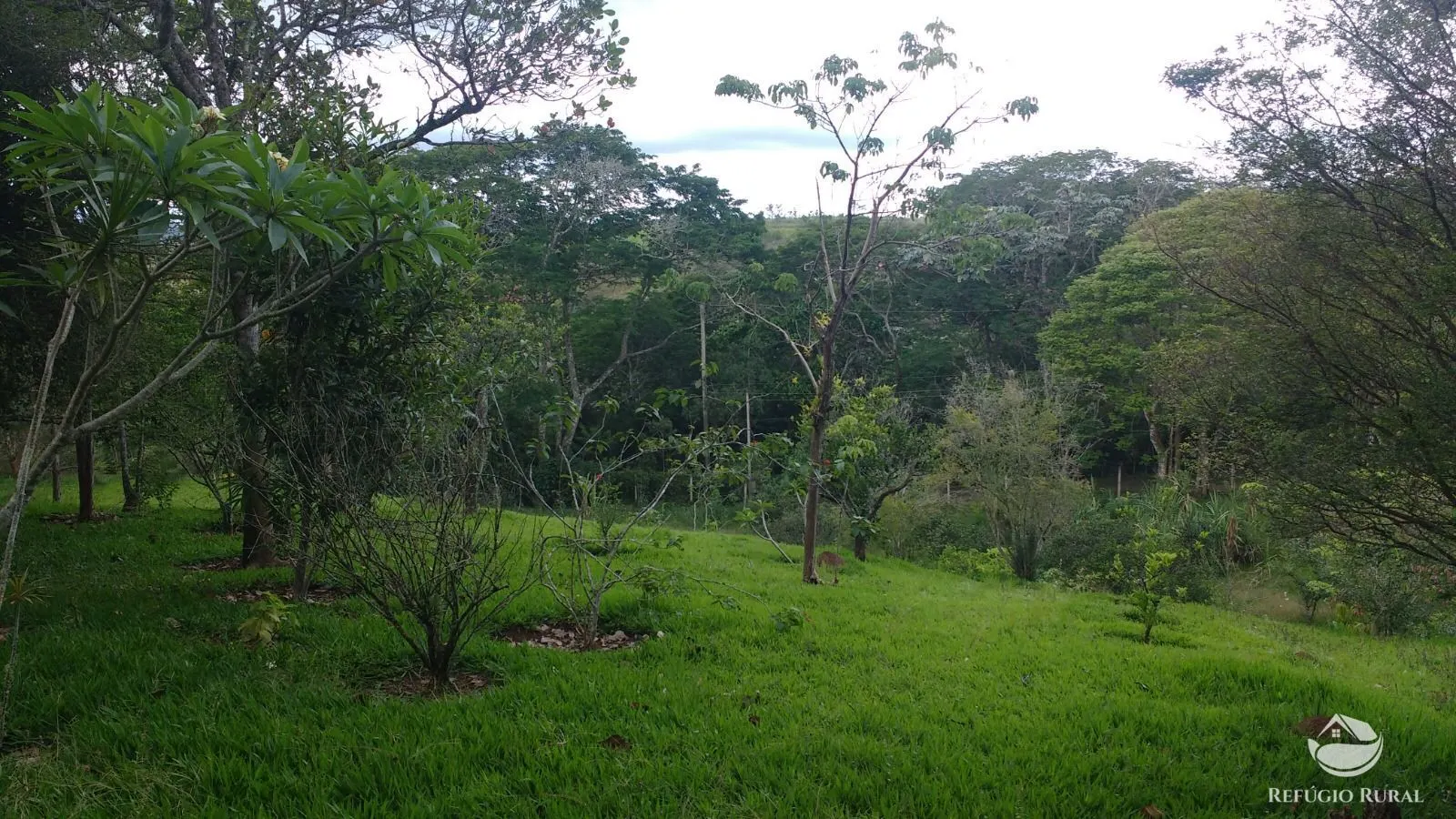 Chácara à venda de 7.723 m² em São José dos Campos, SP, Brasil