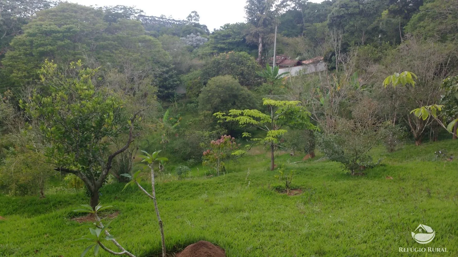 Chácara à venda de 7.723 m² em São José dos Campos, SP, Brasil