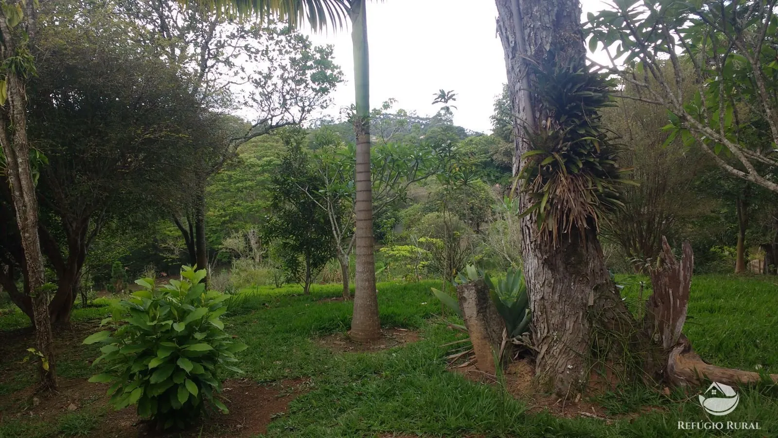 Chácara à venda de 7.723 m² em São José dos Campos, SP, Brasil