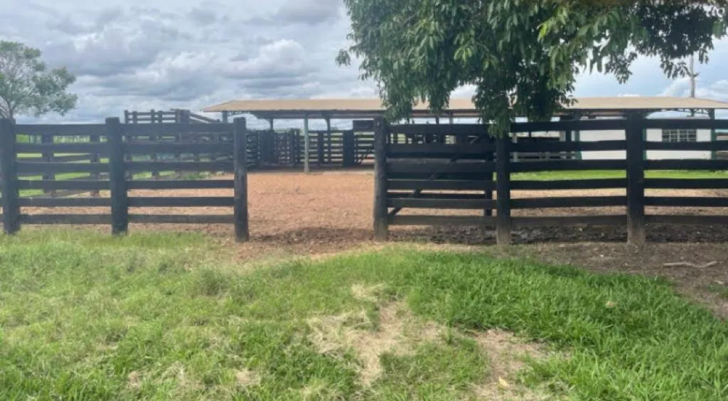 Farm for sale of 21,580 acres in Serranópolis, GO, Brazil