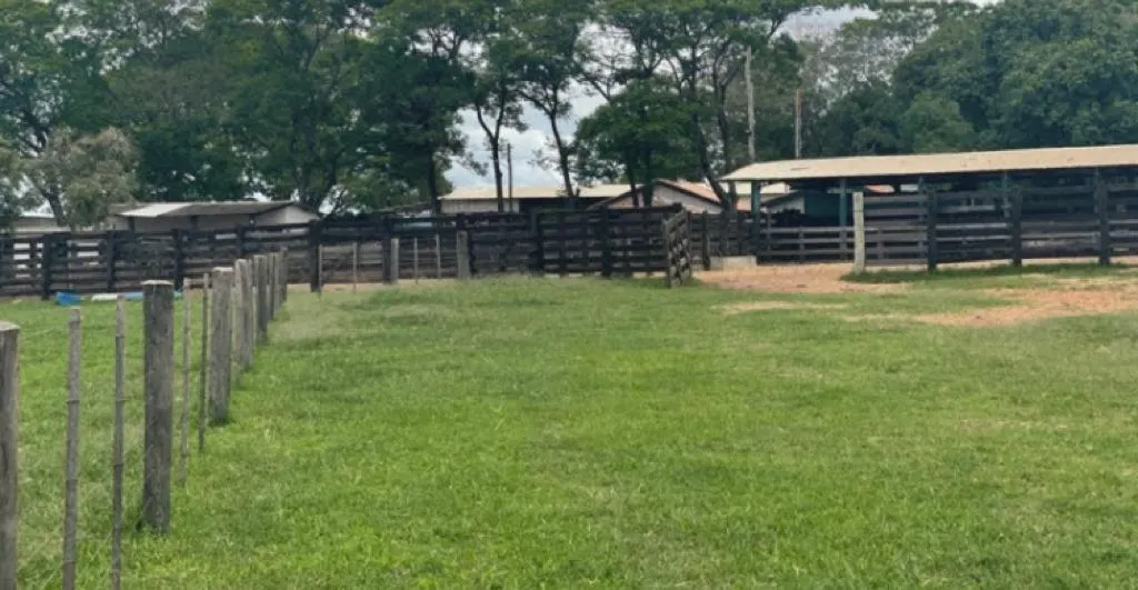 Farm for sale of 21,580 acres in Serranópolis, GO, Brazil
