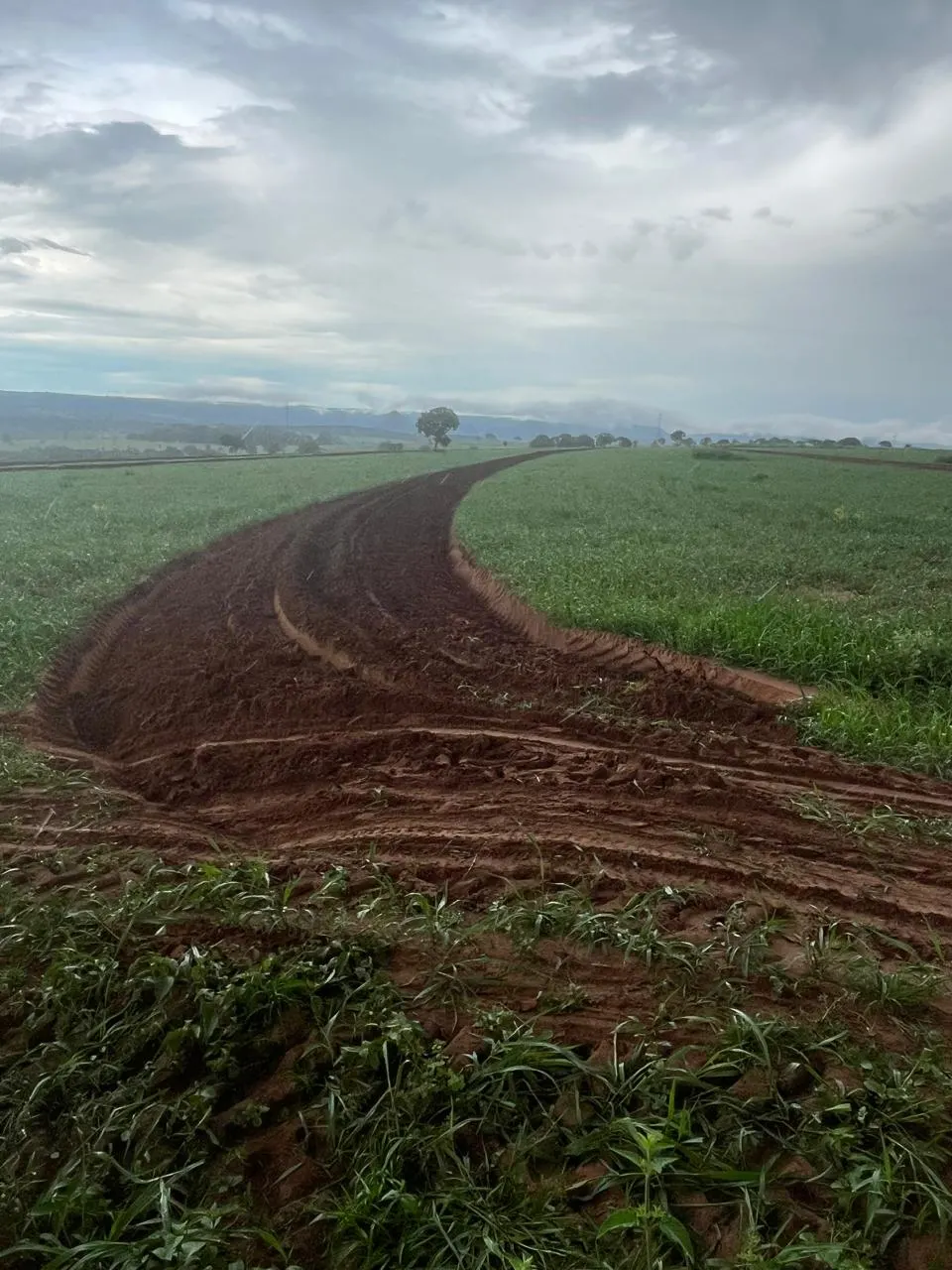 Farm for sale of 21,580 acres in Serranópolis, GO, Brazil