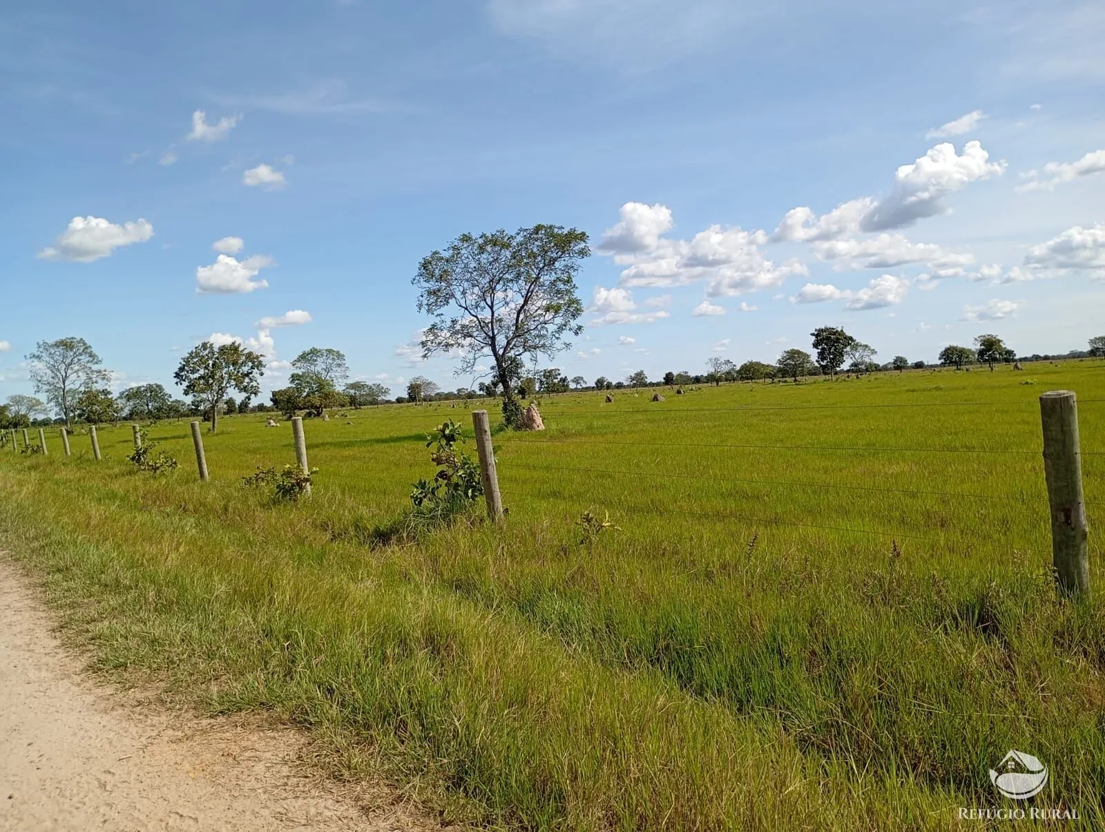 Fazenda à venda de 3.910 ha em Araguaiana, MT, Brasil