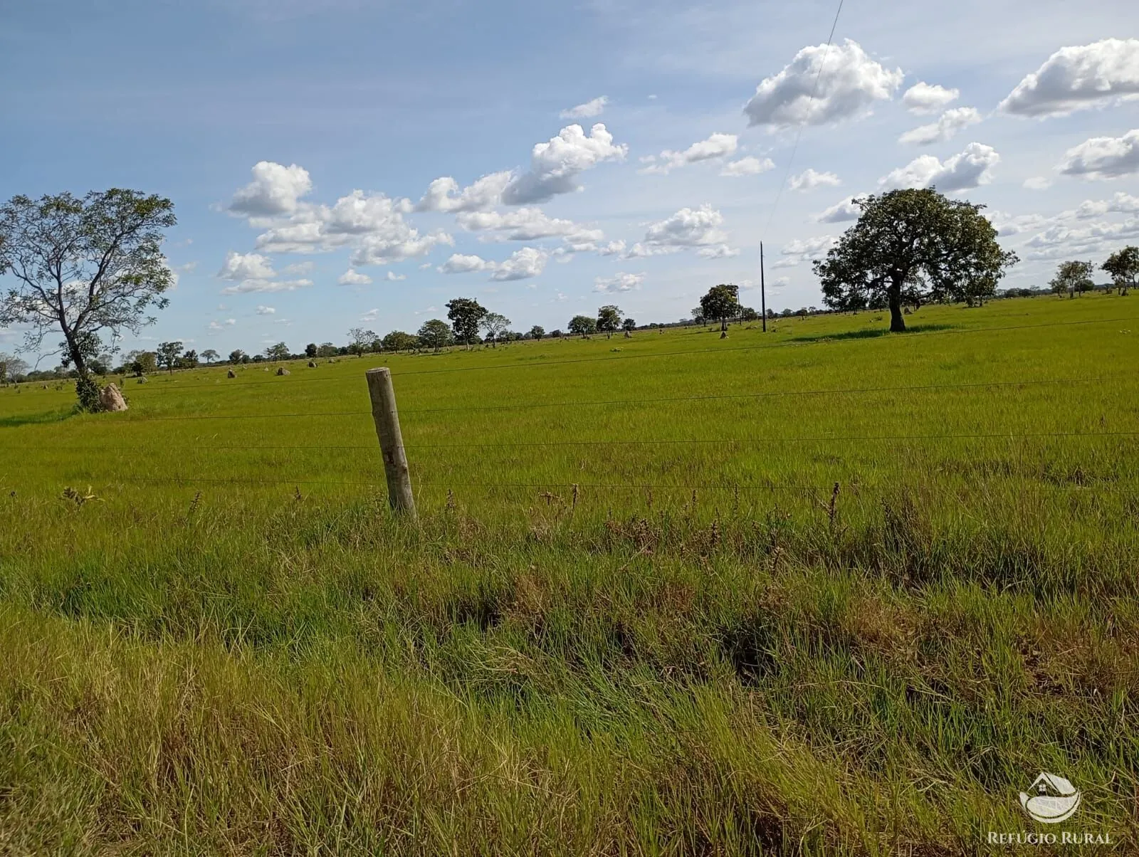 Fazenda à venda de 3.910 ha em Araguaiana, MT, Brasil