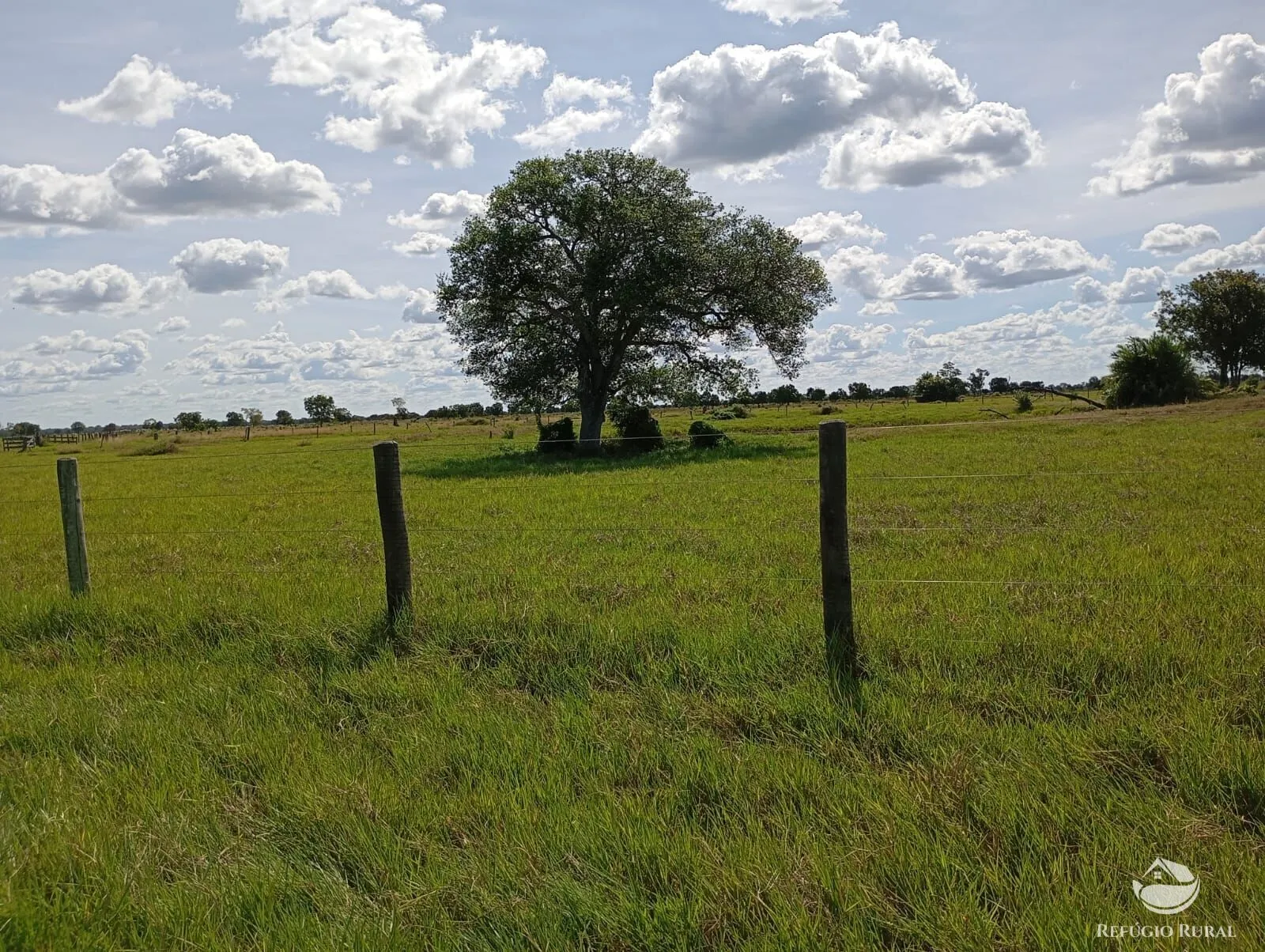 Fazenda à venda de 3.910 ha em Araguaiana, MT, Brasil
