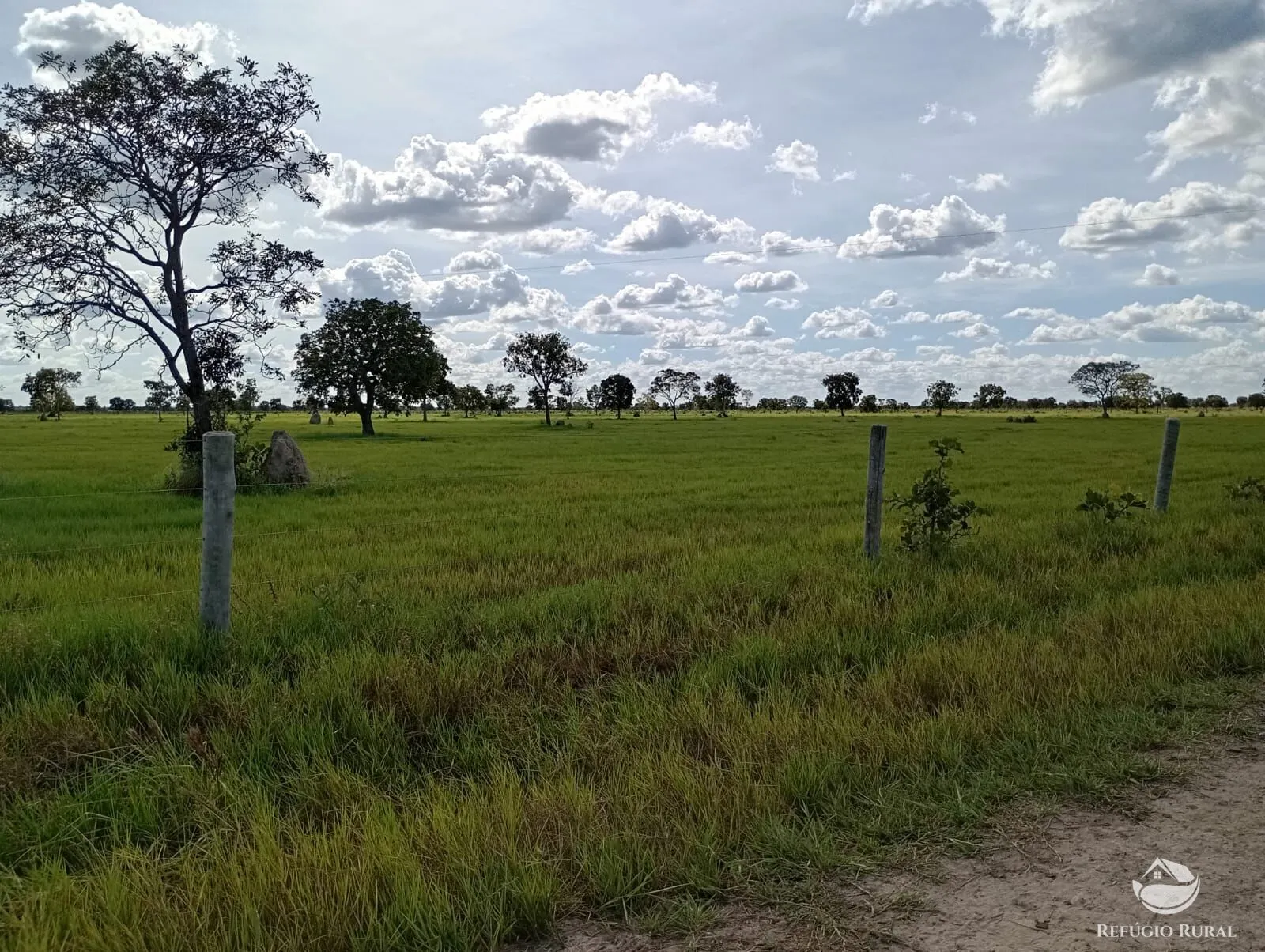 Fazenda à venda de 3.910 ha em Araguaiana, MT, Brasil