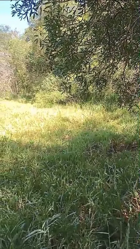 Small farm for sale of 60 acres in Iaras, SP, Brazil