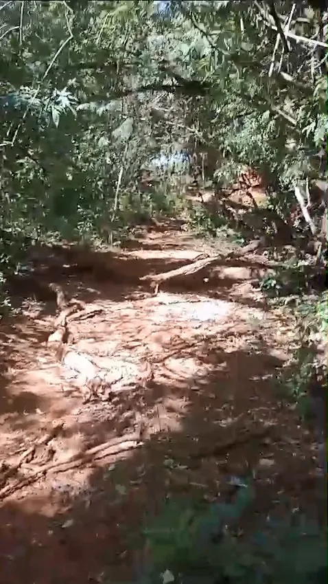Small farm for sale of 60 acres in Iaras, SP, Brazil