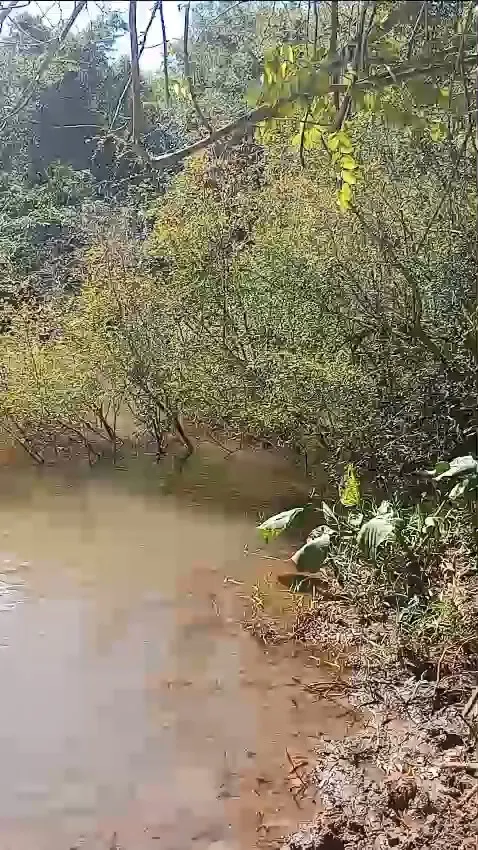 Small farm for sale of 60 acres in Iaras, SP, Brazil