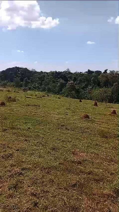 Small farm for sale of 60 acres in Iaras, SP, Brazil